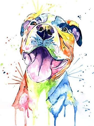 QGHZSCS pinta por números pinturas digitais tinta de cachorro Animais Picture Home Decoration Gifts B4