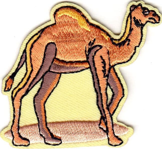 Ferro de camelo em patch zoo animal deserto