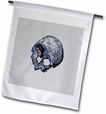 3drose taiche - ilustração - crânio - crânio humano quebrado no estilo de tatuagem - bandeiras