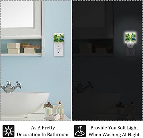 Rodailycay sensor leve à noite verde e periquito azul em folhas, 2 pacotes de luzes noturnas se conectam na parede, luminosas led led de berçário para o banheiro do banheiro.
