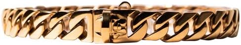 Bully Chainz Pequeno colar de corrente de metal cubano de link dourado com design de fivela segura - Link