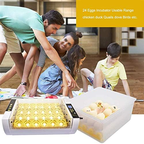 ALREMO 103234536 Incubadora 24 ovos Oburinos de aves termostáticas automáticas com um laboratório doméstico de teste para chico
