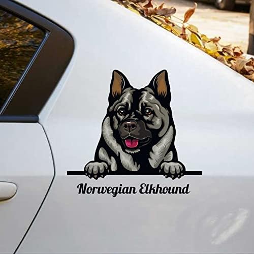 Decalques de carros de elkhound norueguês decalques de cães coloridos Decalques de amante de animais de estimação