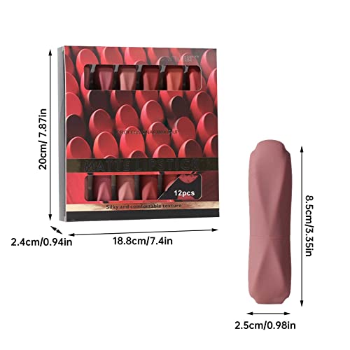 Mini batom hidratante Lip Plumper 12pcs Mini Lipstick Conjunto para mulheres LABOTICK LABIOLES LABIONAIS MACHA