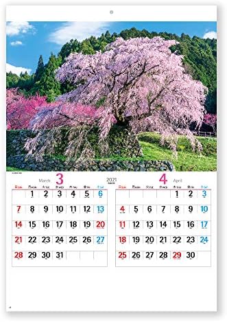 Calendário japonês Novo Japão Calendário 2021 Parede do calendário pendurado bonito Japão NK110