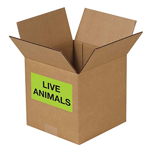 Live Animals Rótulos/adesivos, 3 x 5, verde fluorescente, 500 rótulos por rolo