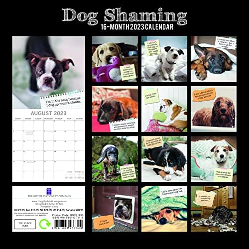 2023 Calendário de parede quadrada, vergonha de cães, tema de humor de 16 meses com 180 adesivos de lembrete