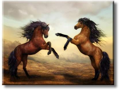 Lutando com os cavalos fotografando em tela esticada, decoração de arte de parede, pronta para pendurar