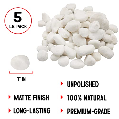 Pebles brancos não polidos 5 lb. - Pebbles de 1 polegada para plantas, jardins, cascalho de tanque de peixe,