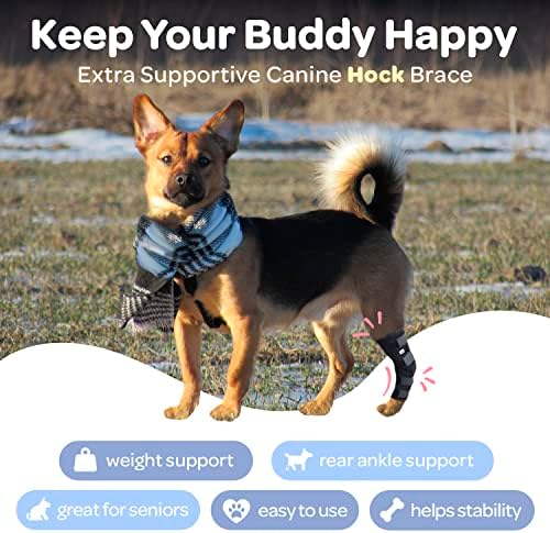 Labra Dog Extra Apoio ao jarrete da perna traseira de suporte para recuperação, proteção, proteção e entorse