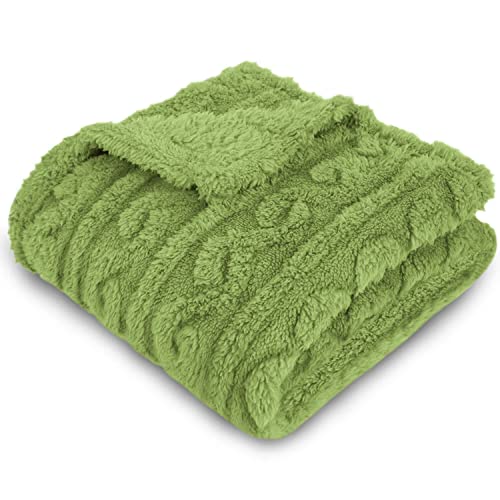 Cobertor de bebê Minky Homritar para crianças com dinossauros 3D lã Fluffy Fuzzy Baby Blanket Avocado Green para crianças 30 x 40 polegadas