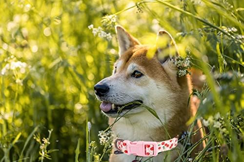 Ewinoom Dog Collar Flower Print Colares macios para pequenas cães femininas médias Treinando correndo, caminhando,