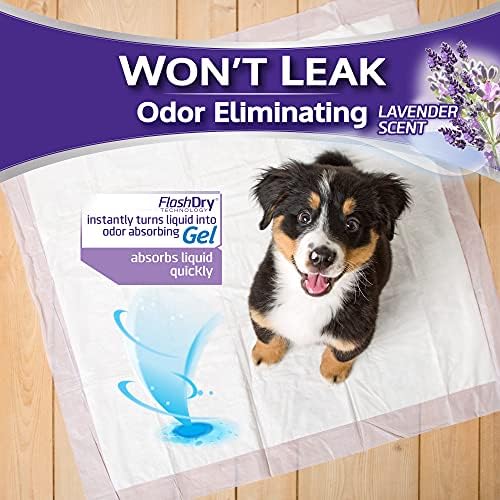 Odor de proteção doméstica Hartz eliminando almofadas de cachorro perfumadas, super absorventes e não vazam, perfume de lavanda, blocos de tamanho 3xl, 60 contagem