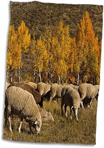 3d Rose Trailing of the Sheep Festival-Autumn-Ketchum-Idaho-Usa Hand Toalha, 15 x 22